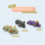 3D Printed Collectible Flexi Animals Set 3 Per Box