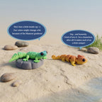 3D Printed Freshwater Animal Playset